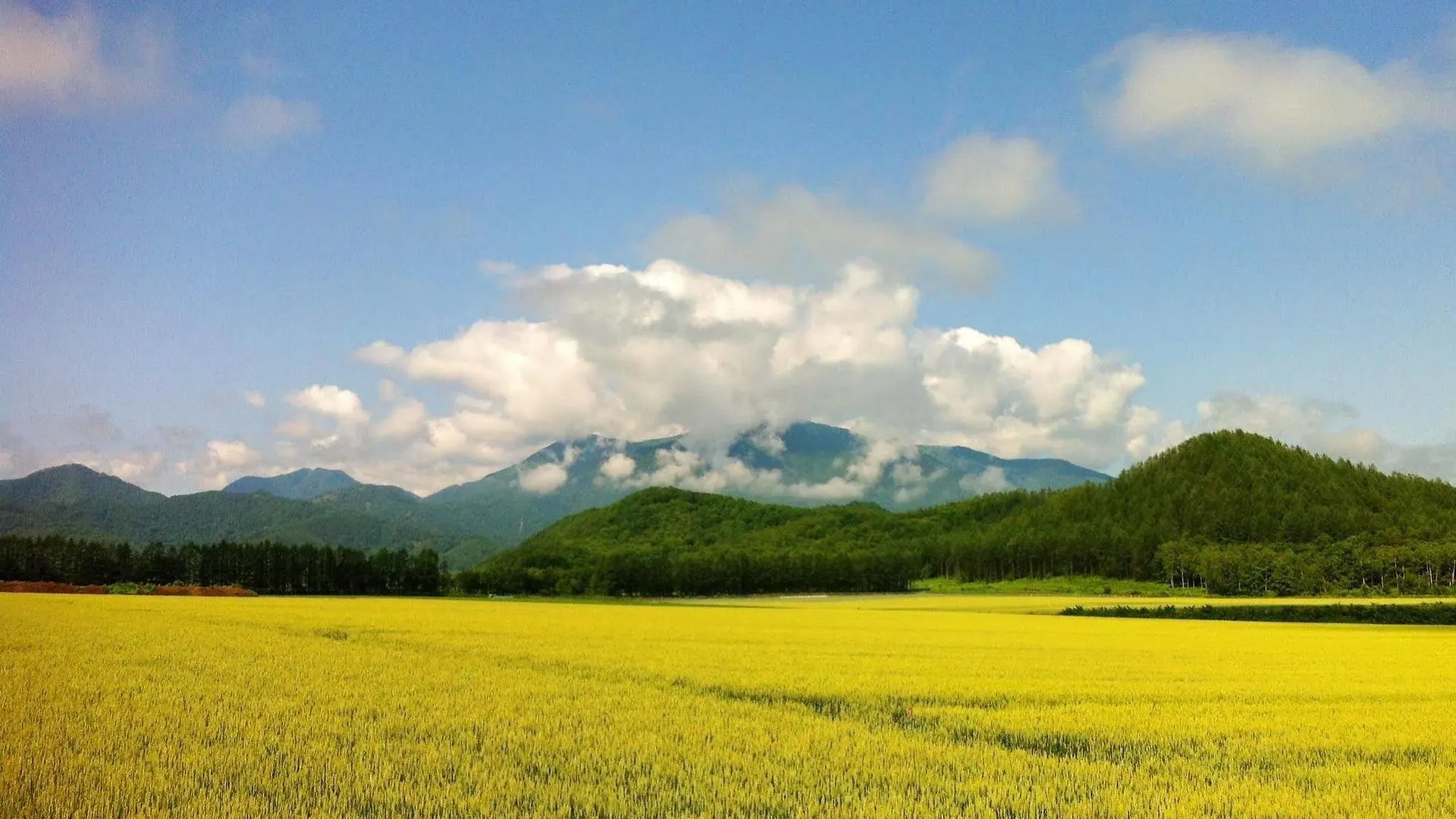 帯広八千代ユースホステル 帯広市