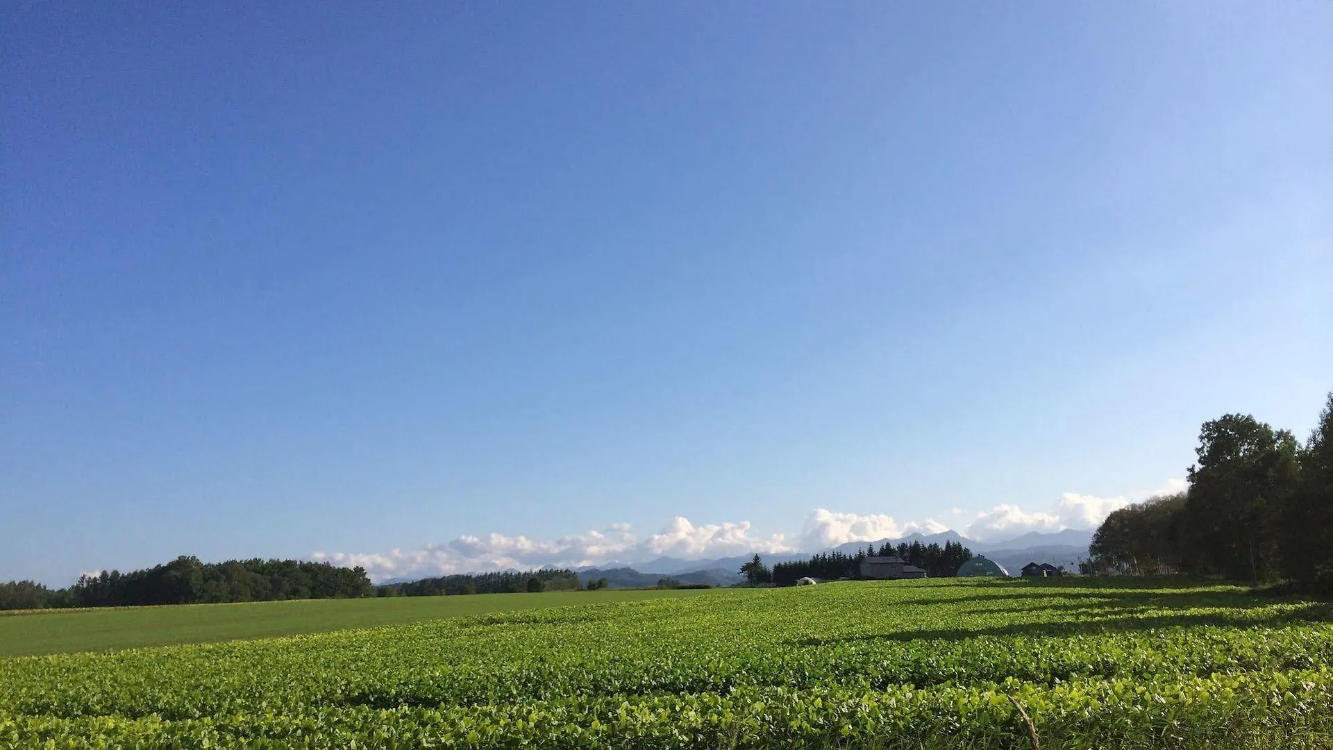 ホステル 帯広八千代ユースホステル 帯広市