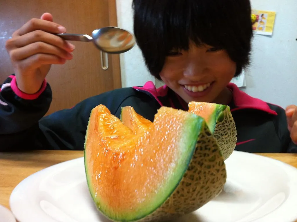 Obihiro Yachiyo Youth Hostel Starry Sky Inn